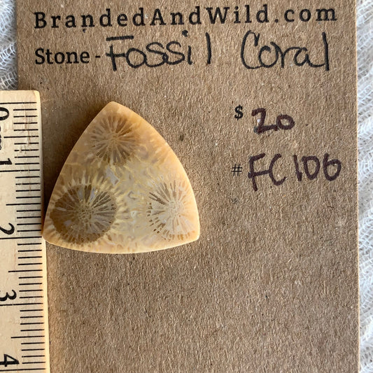 Fossil Coral Cabochon - FC100