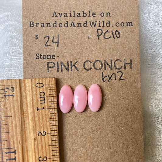 Pink Conch Cabochon - PC10 B7BEC7C6-8AAC-4504-860F-0198D9E16BE4 Brandedandwild.com