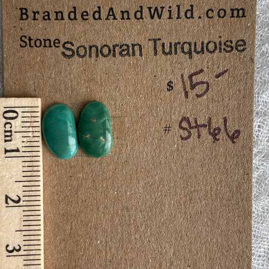 Sonoran Turquoise Cabochon - ST66