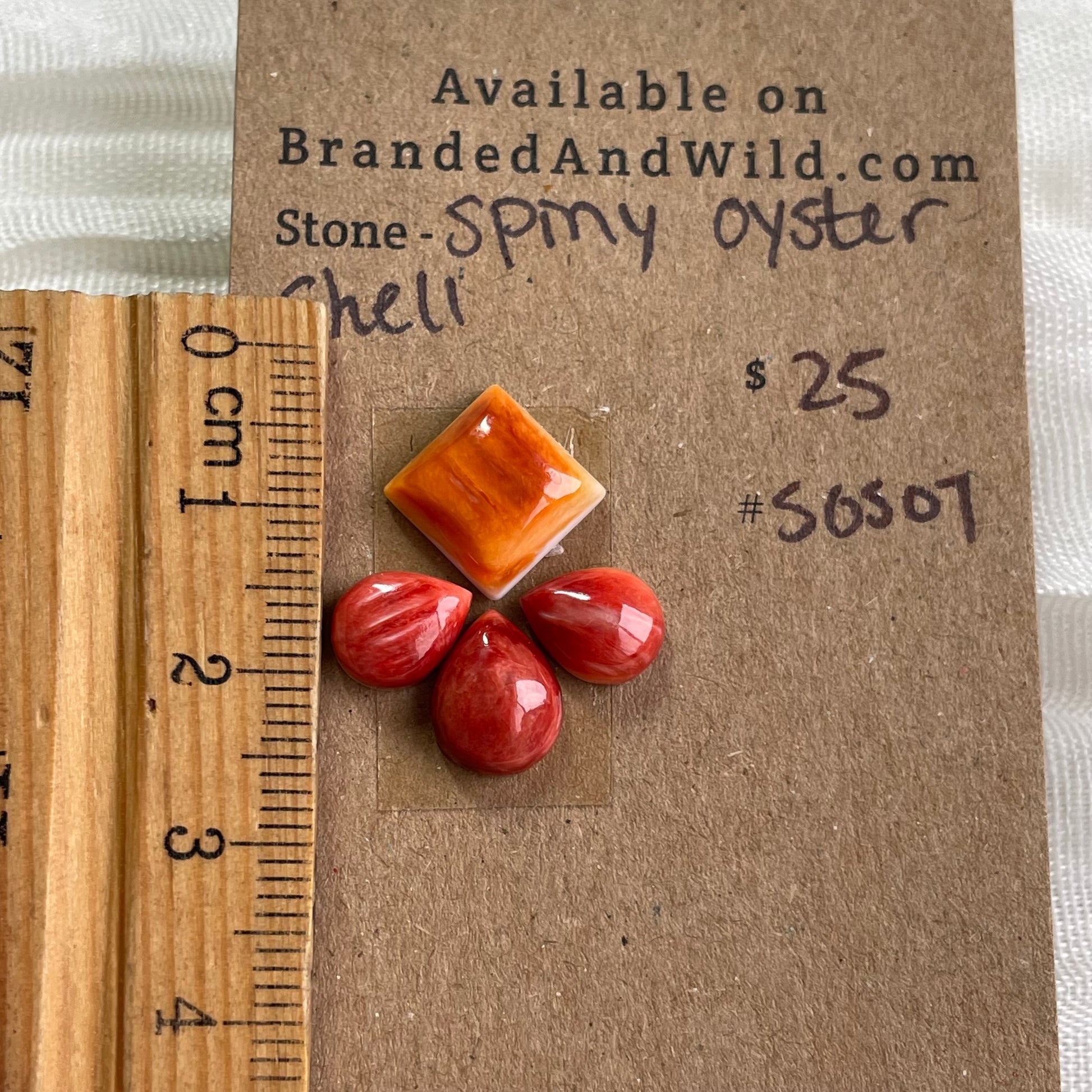 Oyster Shell Cabochon - S0S07 B80C5421-12FB-482E-A399-4AD8932AC97A Brandedandwild.com
