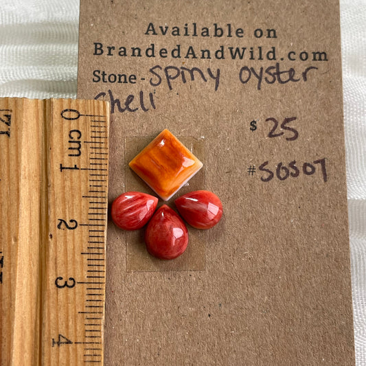 Oyster Shell Cabochon - S0S07 B80C5421-12FB-482E-A399-4AD8932AC97A Brandedandwild.com
