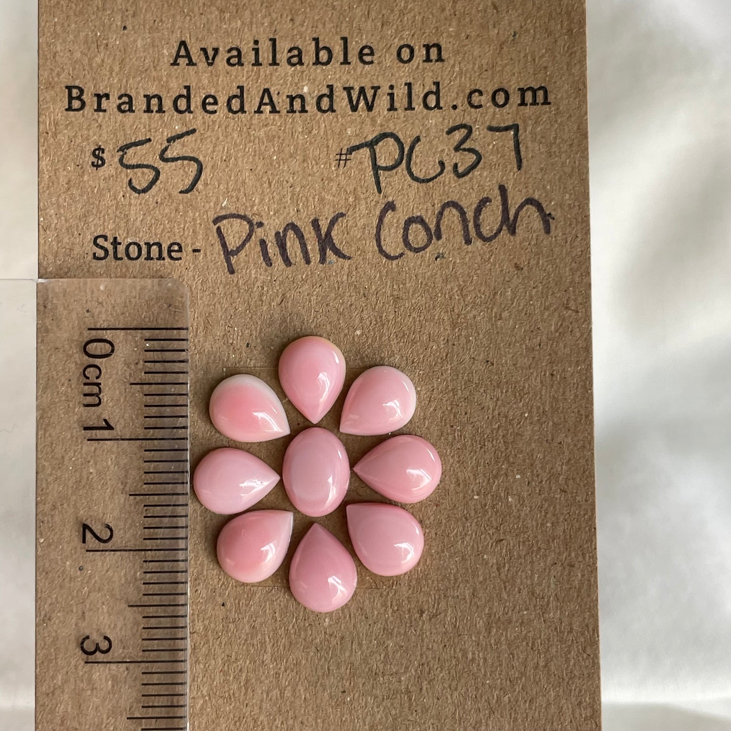 Pink Conch Cabochon - PC37