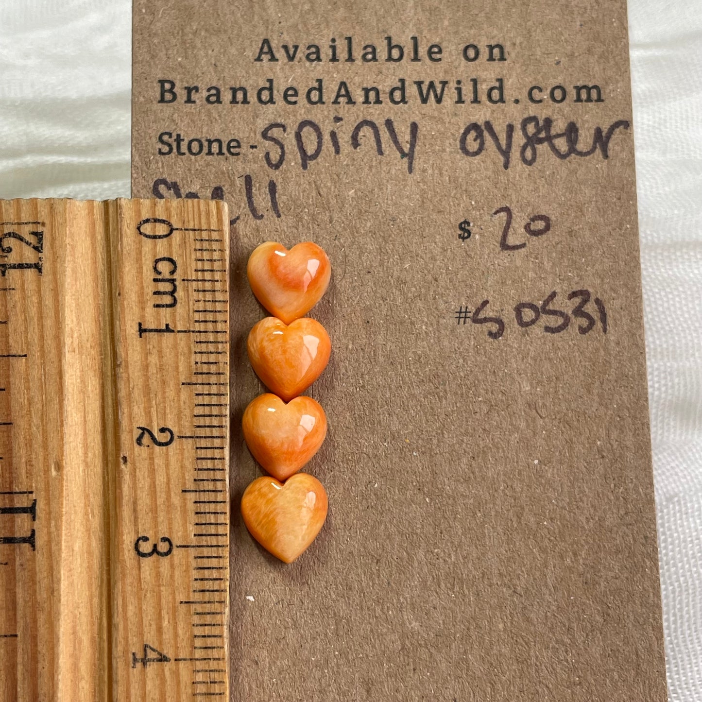 Oyster Shell Cabochon - S0S31 B82A11BF-F5CA-491C-B483-941BE81B8F3C Brandedandwild.com