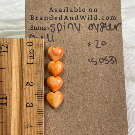 Oyster Shell Cabochon - S0S31 B82A11BF-F5CA-491C-B483-941BE81B8F3C Brandedandwild.com