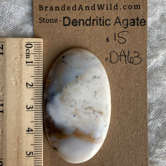 Dendritic Agate Cabochon - DA63