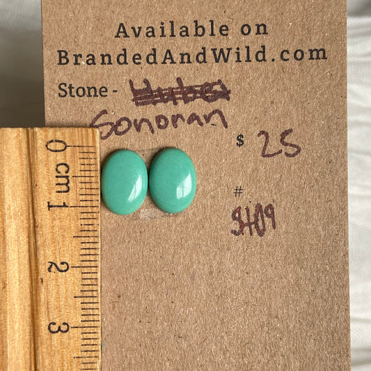 Sonoran Turquoise Cabochon - ST09 B84E19A2-DC07-4D80-9BA3-764F6A7B1D68 Brandedandwild.com