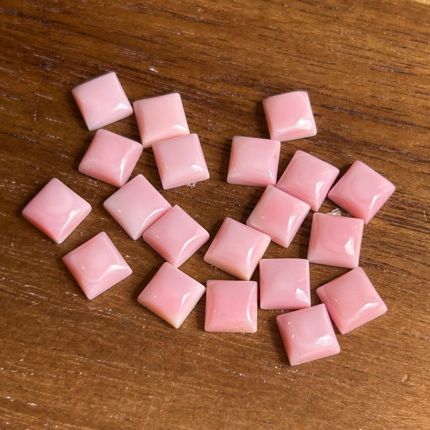 Pink Conch 6mm B85ED32F-62CC-4483-BD4E-EC8A4A5842A4 Brandedandwild.com