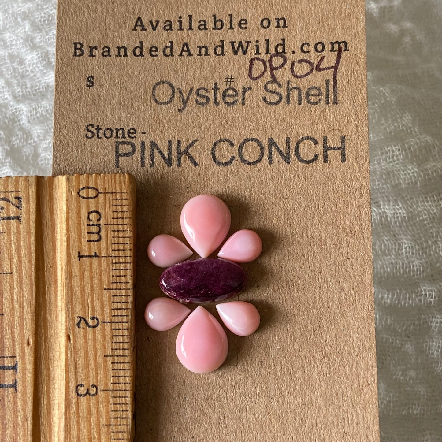 Pink Conch / Oyster Shell Cabochon - OP04