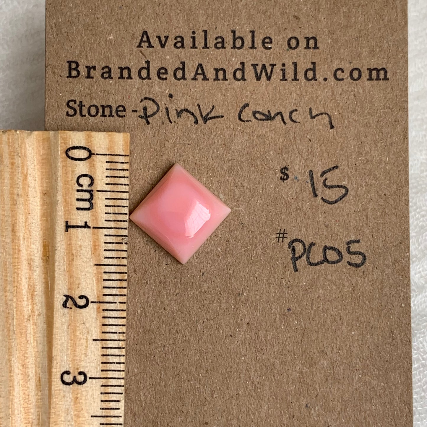 Pink Conch Cabochon - PCS05