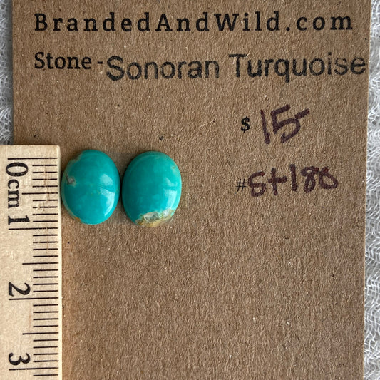 Sonoran Turquoise Cabochon - ST180
