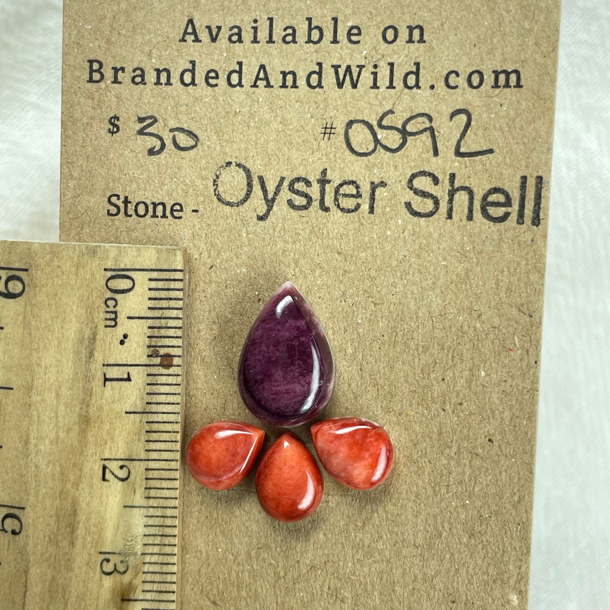 Oyster Shell Cabochon - OS92 B8EB0513-00D7-40EC-9731-61CCFD35A995 Brandedandwild.com