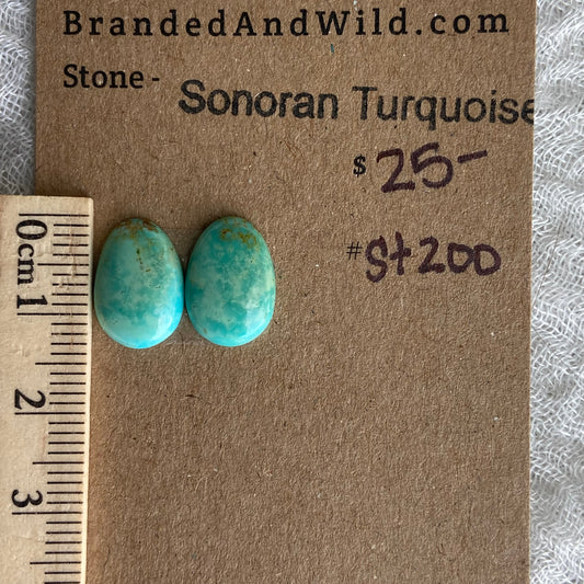 Sonoran Turquoise Cabochon - ST200