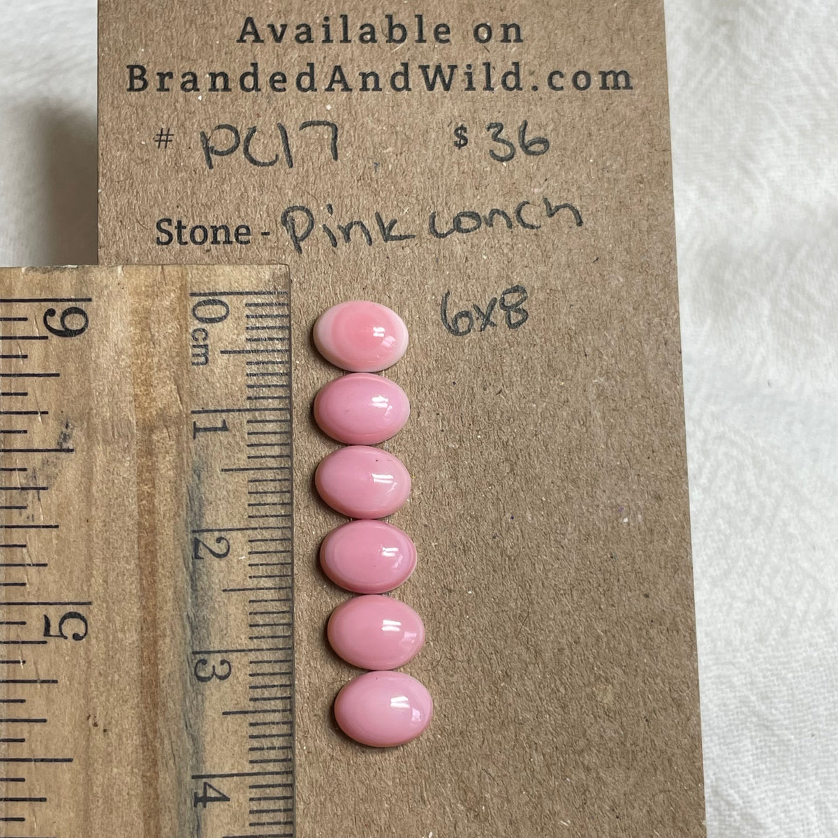 Pink Conch Cabochon - PC17 B935ACC6-320C-4304-A674-EEEAC95C3D29 Brandedandwild.com