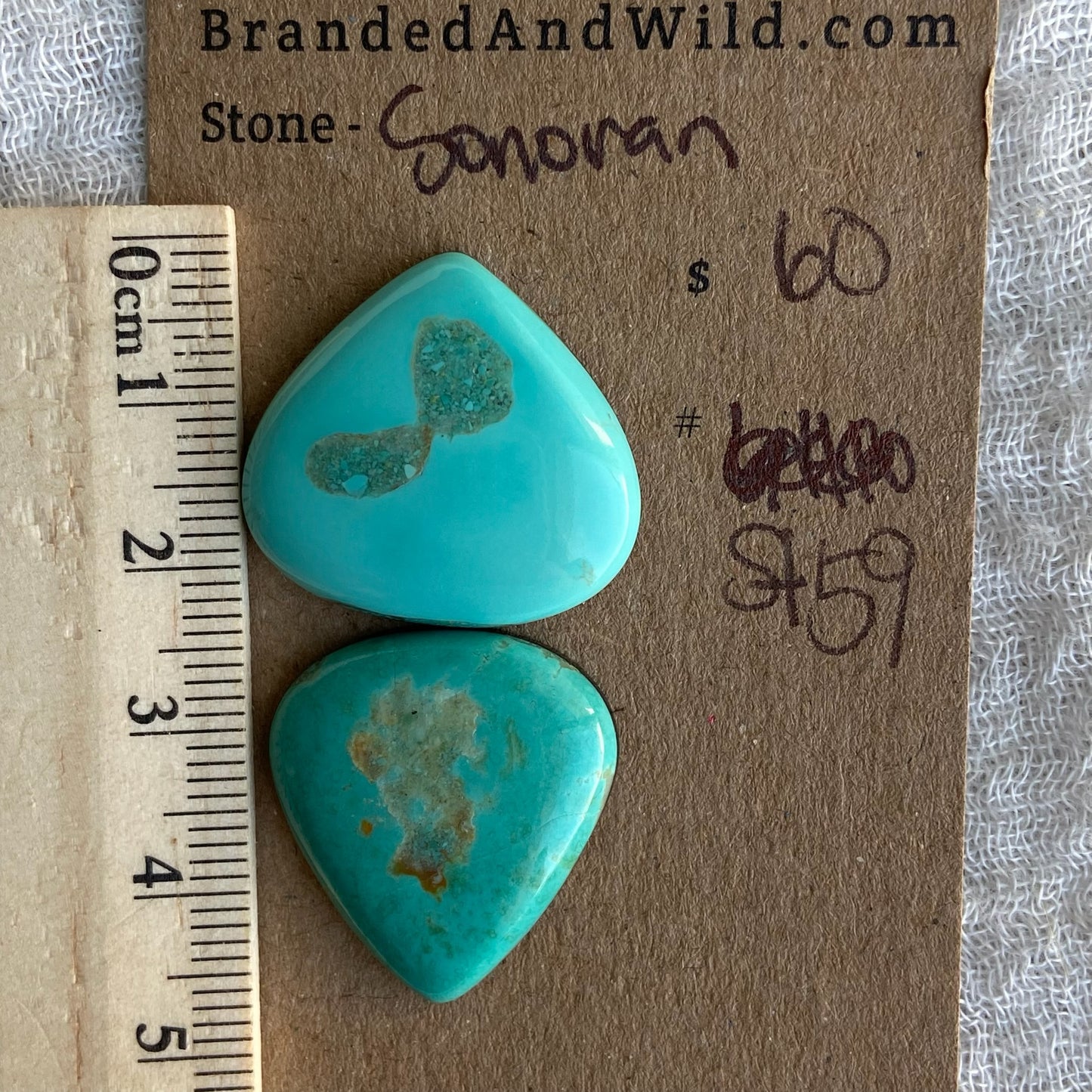 Sonoran Turquoise Cabochon - ST59