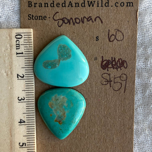 Sonoran Turquoise Cabochon - ST59