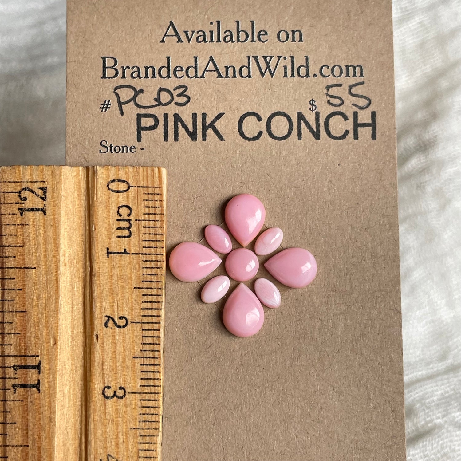 Pink Conch Cabochon - PC03 B970FFA5-D346-490C-B8E1-3E5E6D64D67C Brandedandwild.com