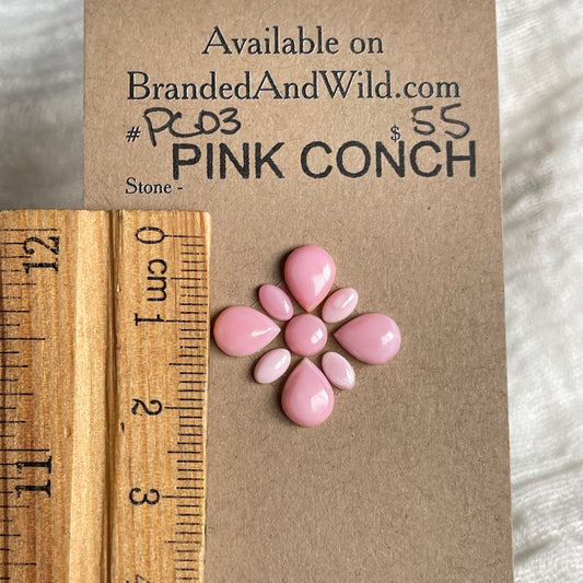 Pink Conch Cabochon - PC03 B970FFA5-D346-490C-B8E1-3E5E6D64D67C Brandedandwild.com