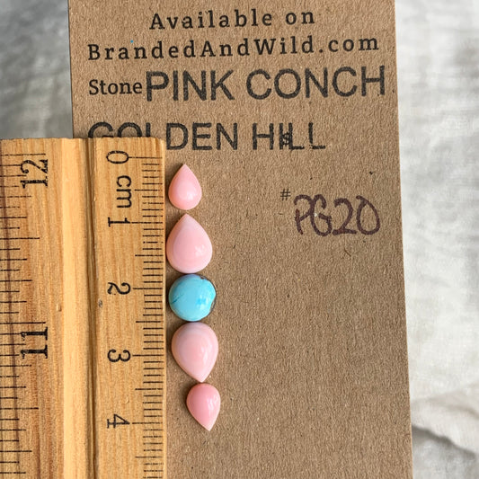Pink Conch/Golden Hill Cabochon - PG20