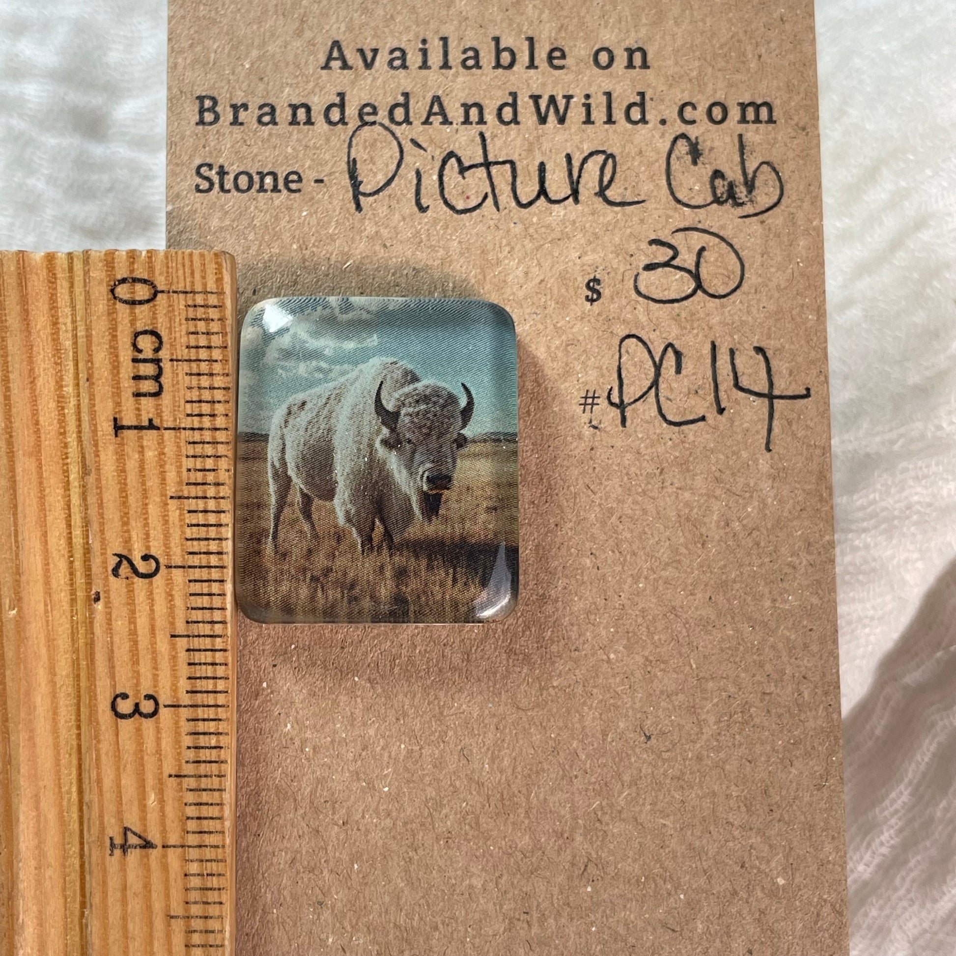 Picture Cabochon - Cabochon - PC14 B9CA586B-B314-48B6-814B-1CF58F2A31E1 Brandedandwild.com