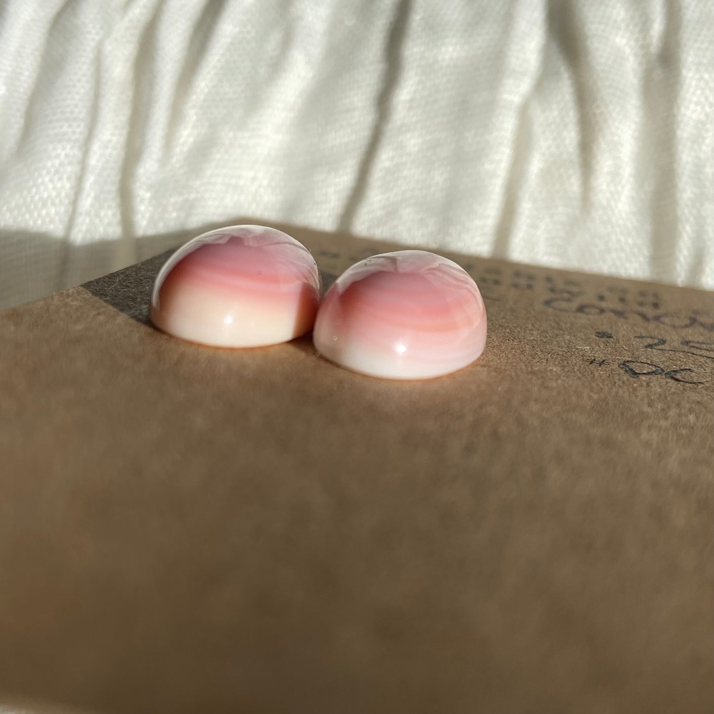 Pink Conch Cabochon - PC52 B9D74E42-6CCC-484F-8BB2-55749B67F73C Brandedandwild.com