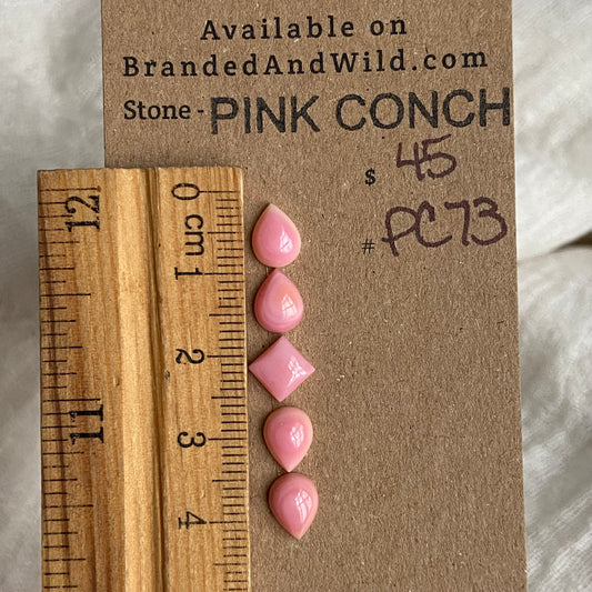 Pink Conch Cabochon - PC73