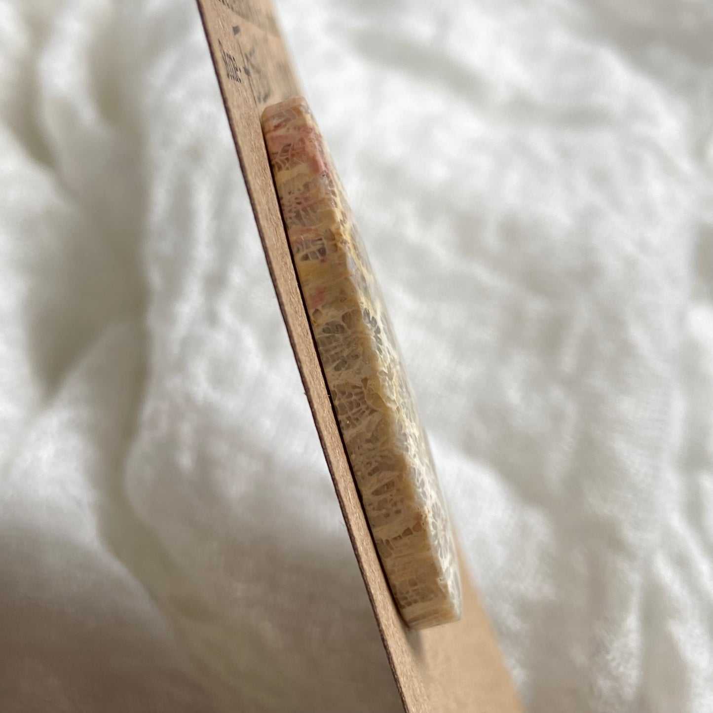 Fossil Coral Cabochon - FC125