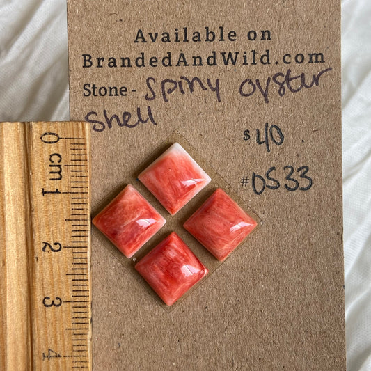 Oystershell Cabochon - OS33 B9E94282-EC8E-4050-A681-9477424229CC Brandedandwild.com