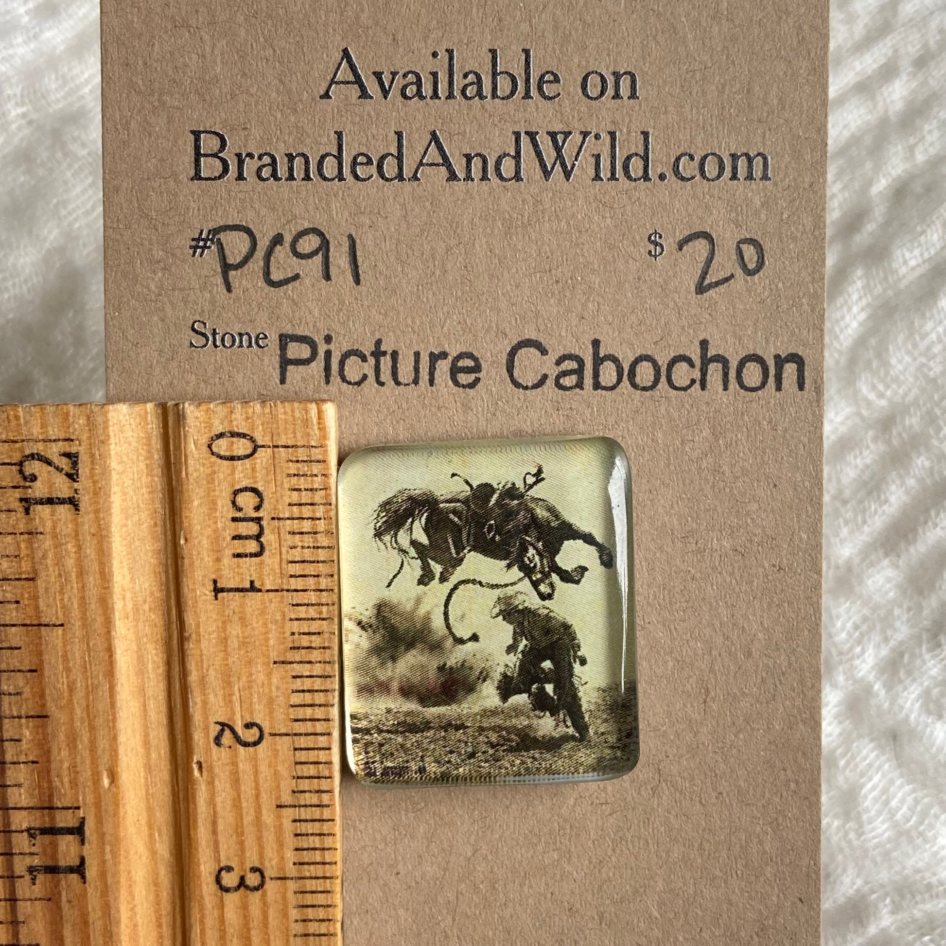 Picture Cabochon - Cabochon - PC91 BA0788E4-F5B5-4B72-8E39-38DFF9E2E03F Brandedandwild.com