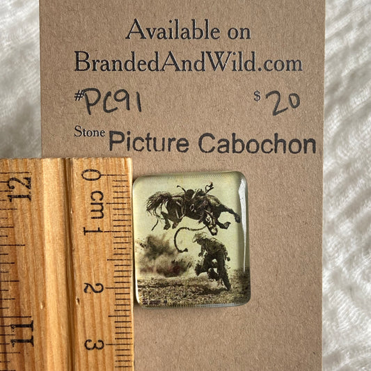 Picture Cabochon - Cabochon - PC91 BA0788E4-F5B5-4B72-8E39-38DFF9E2E03F Brandedandwild.com