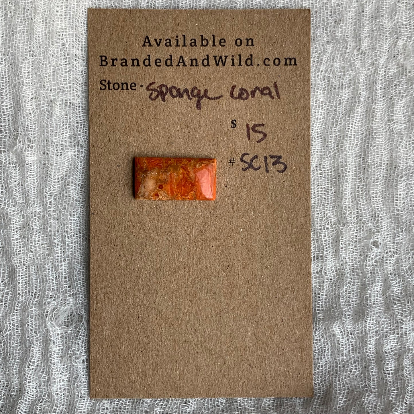 Sponge Coral Cabochon - SC13