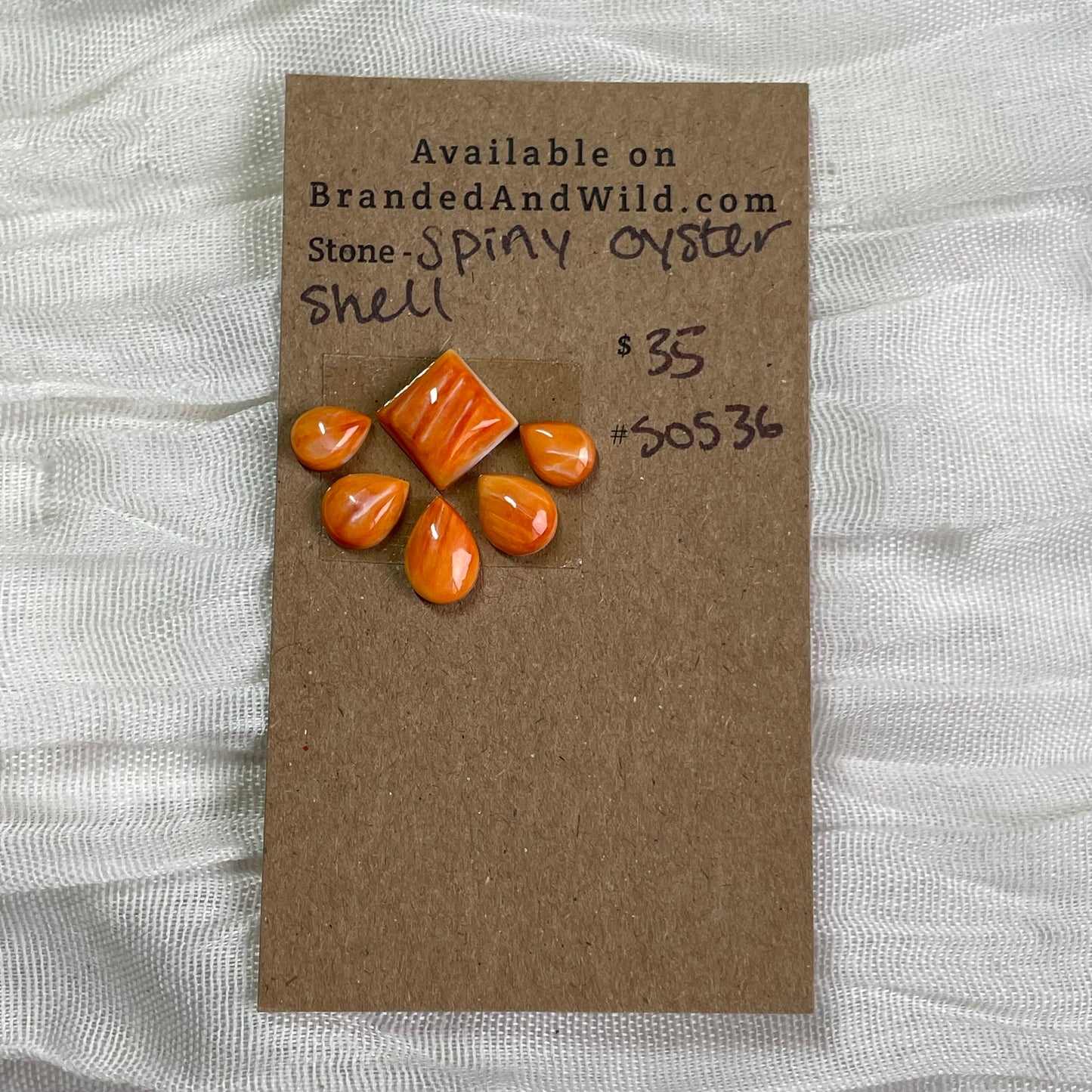 Oyster Shell Cabochon - S0S36 BA1FBBCE-5DD0-41A6-A4EE-705D9469BAA7 Brandedandwild.com