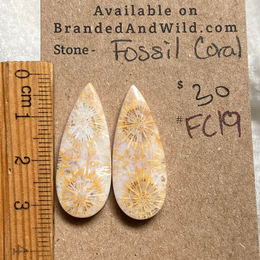 Fossil Coral Cabochon - FC19 BA4B91F7-8273-49E2-93A9-B9A5548B056C Brandedandwild.com
