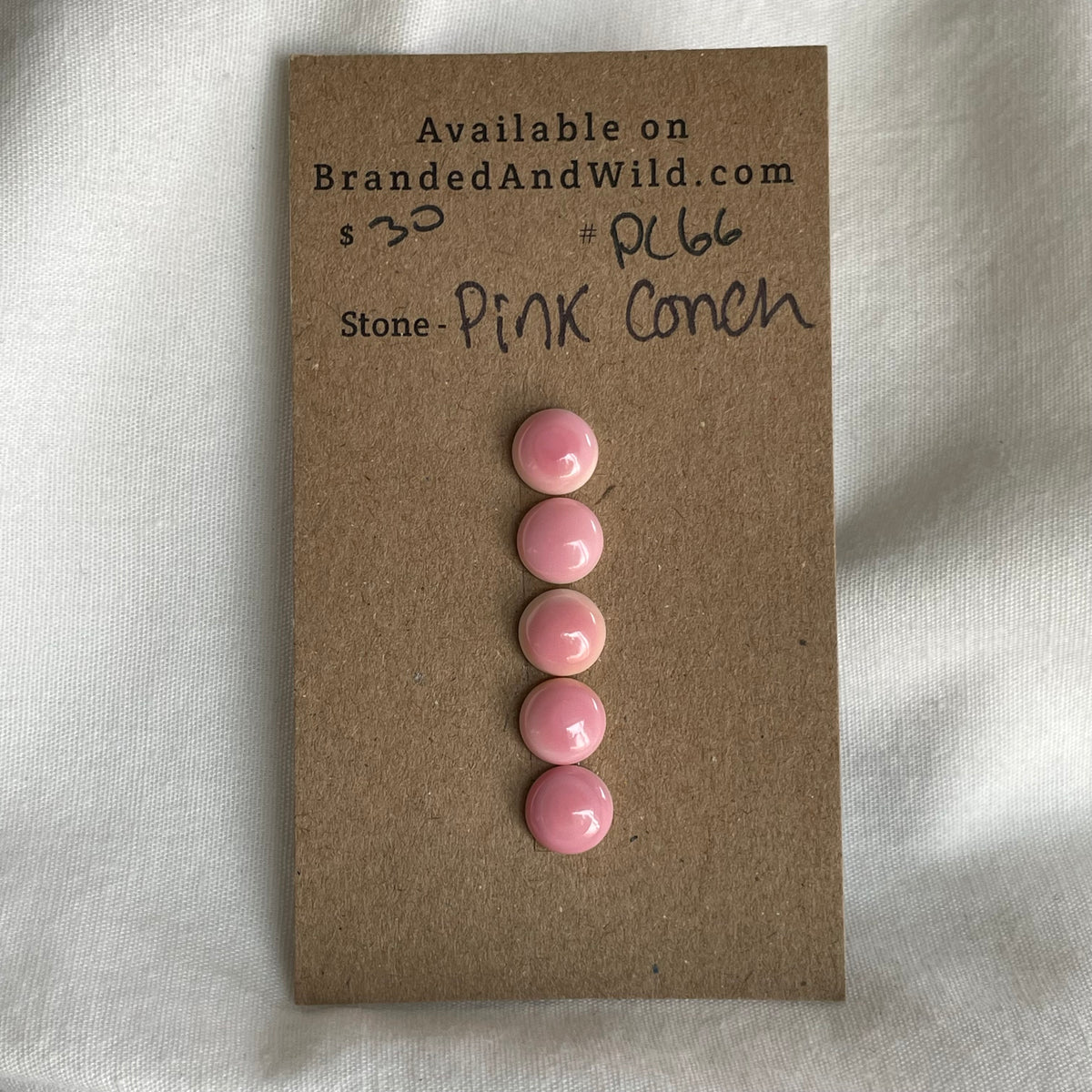 Pink Conch Cabochon - PC66 BA63A3E8-D0A5-42E1-B1E9-8AE9A4AA8D10 Brandedandwild.com