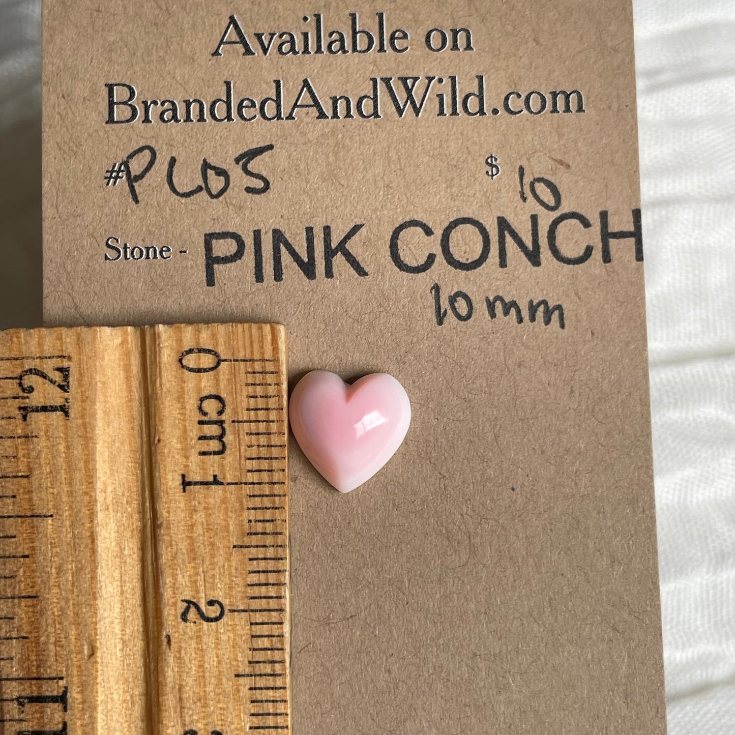 Pink Conch Cabochon - PC05 BA680842-F53F-4DC1-BD47-8A1A78942F2D Brandedandwild.com