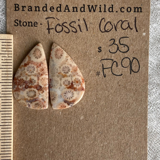 Fossil Coral Cabochon - FC90