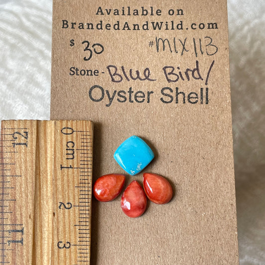 Oyster Shell / Blue Bird Cabochon - Mix113 BA7292FA-3911-4B3E-A061-6A424375BAB1 Brandedandwild.com