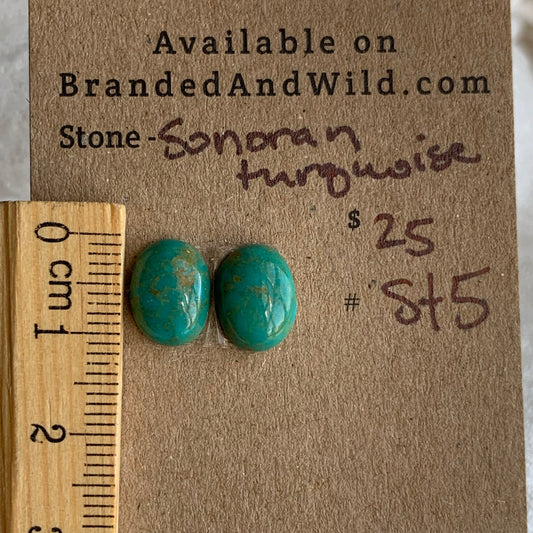Sonoran Turquoise Cabochon - ST5