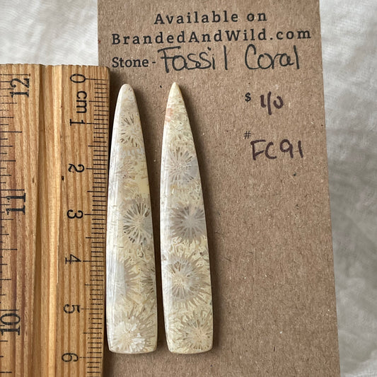 Fossil Coral Cabochon - FC91 BABF3320-4854-48AD-9FFF-42B3E349EF34 Brandedandwild.com