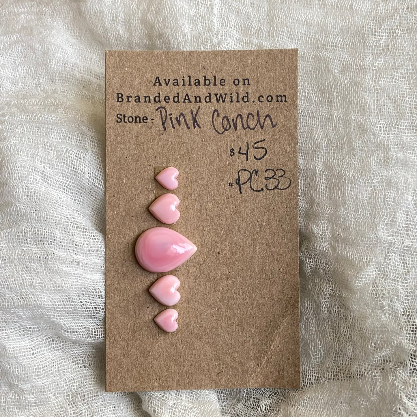 Pink Conch Cabochon - PC33 BAC9C80E-F9DA-4CAC-8CFC-8EED6959BEC0 Brandedandwild.com