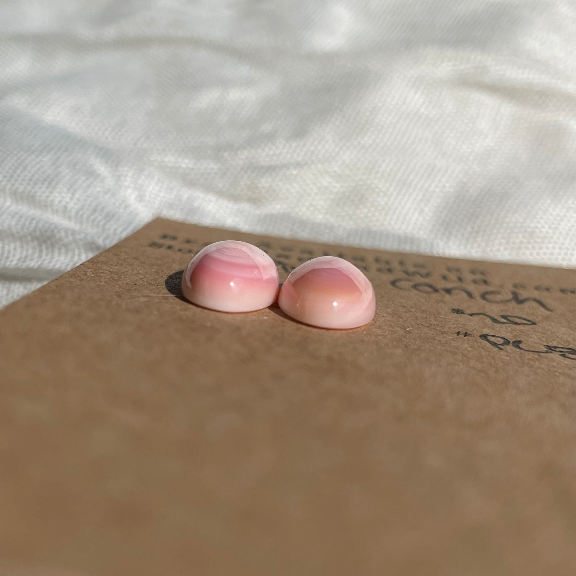 Pink Conch Cabochon - PC85 BADA8D7A-56B4-44C9-B51F-DC2827E890FA Brandedandwild.com
