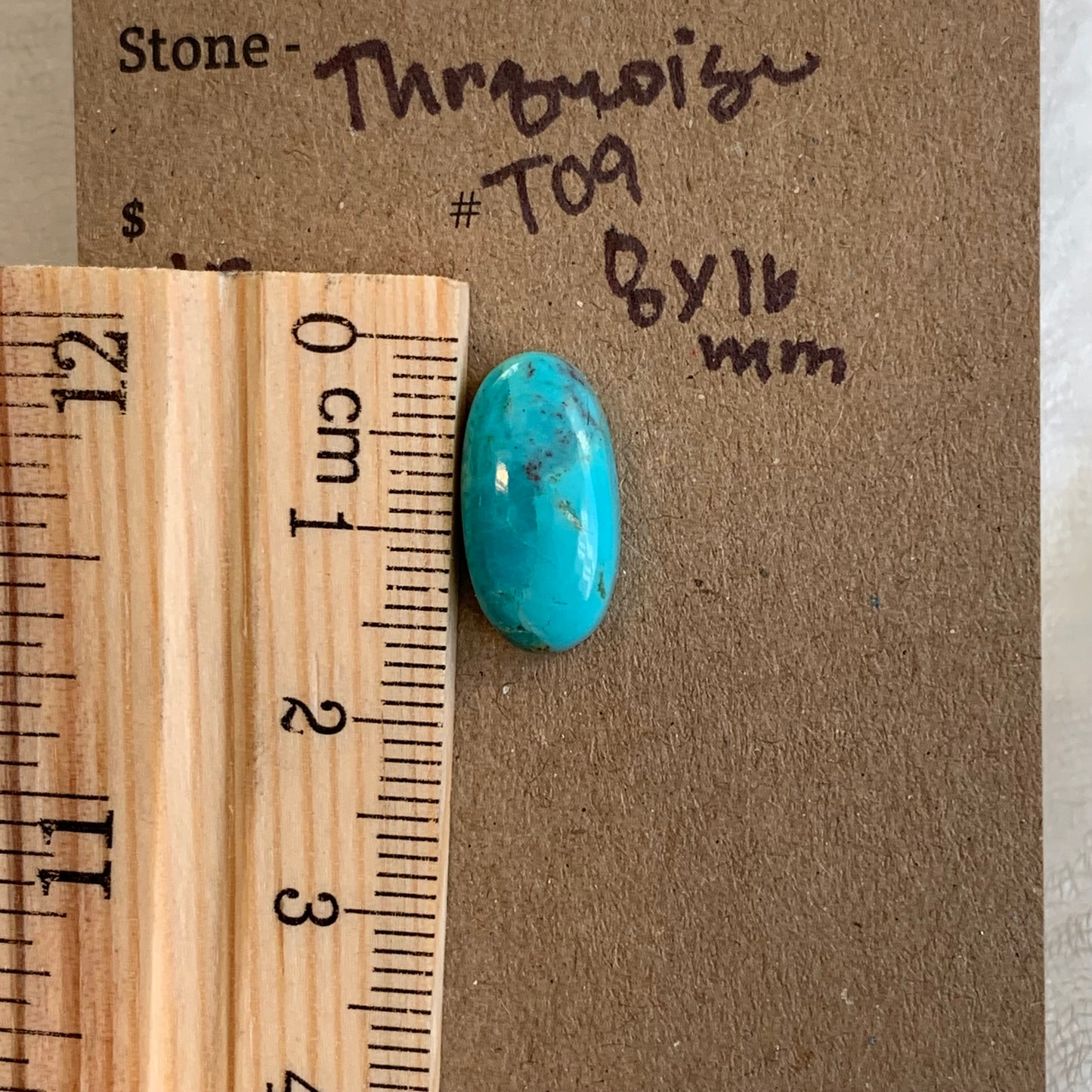 Turquoise Cabochon (8x16) - T09