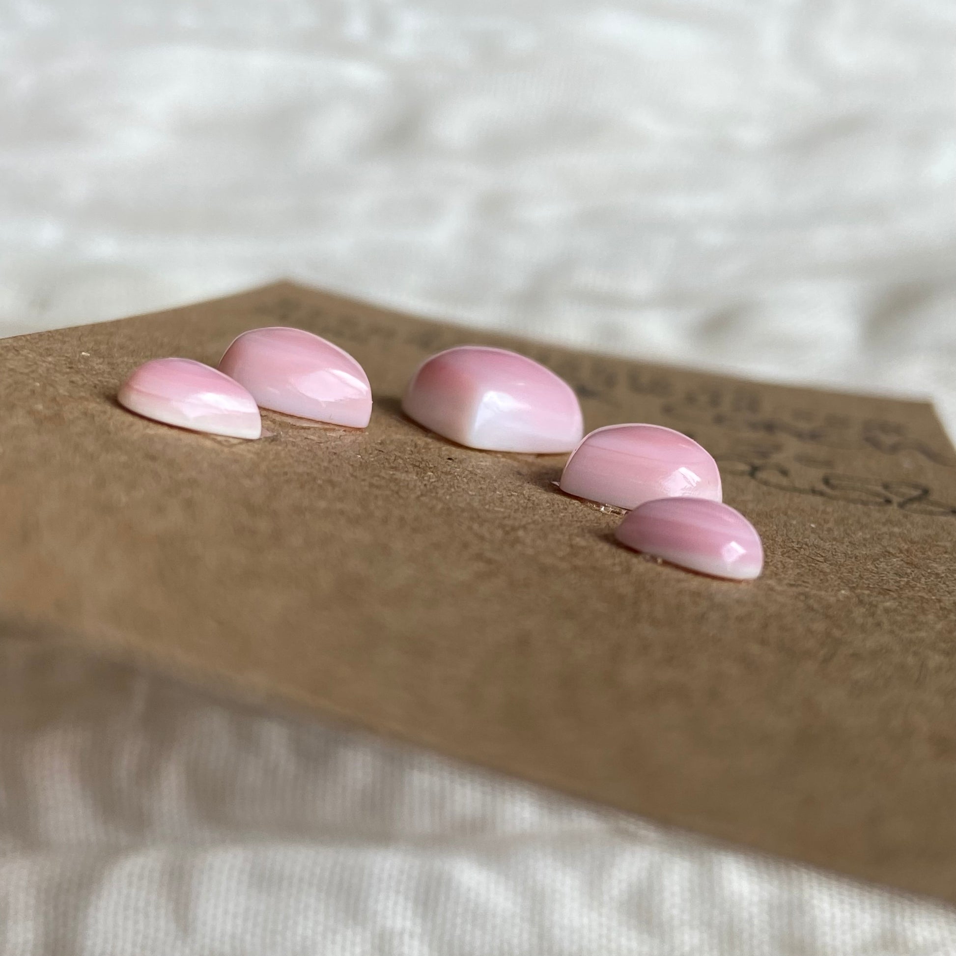Pink Conch Cabochon - PC38 BB588B90-7935-455A-8F7B-4D2FB15257AB Brandedandwild.com