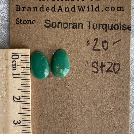 Sonoran Turquoise Cabochon - ST20