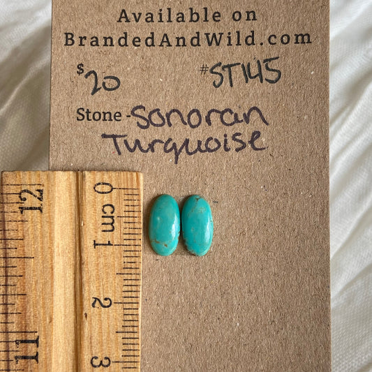 Sonoran Turquoise Cabochon - ST145 BBADB2F5-9765-4B59-97BD-E0669E490DEE Brandedandwild.com