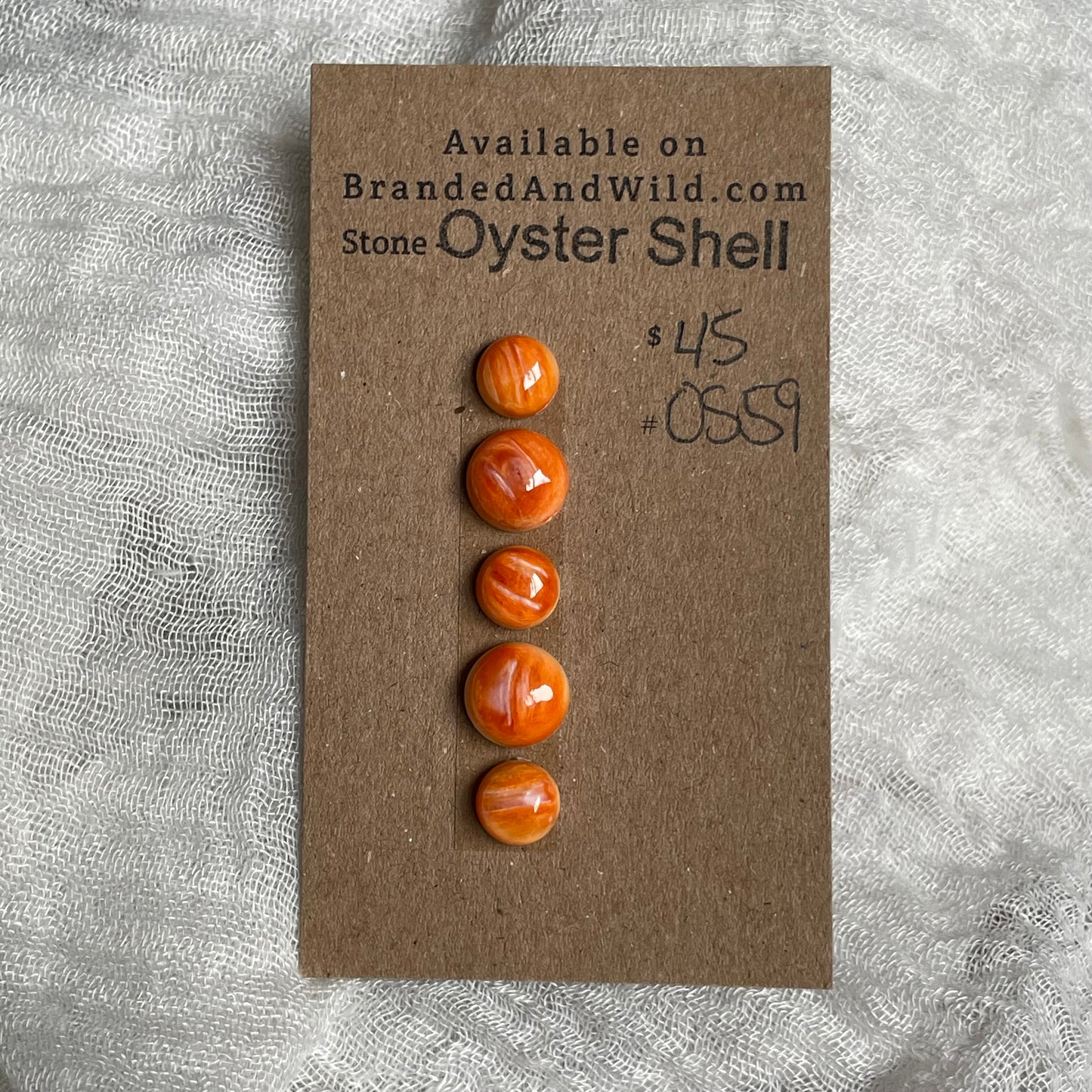 Oyster Shell Cabochon - OS59