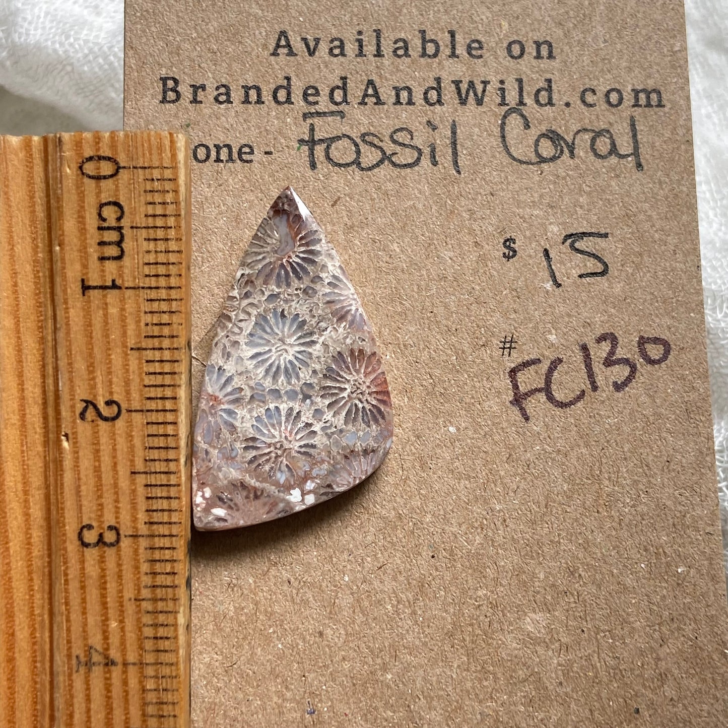 Fossil Coral Cabochon - FC130