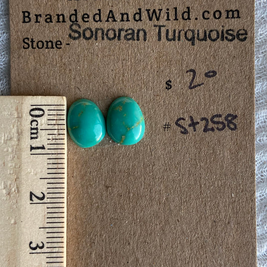 Sonoran Turquoise Cabochon - ST258