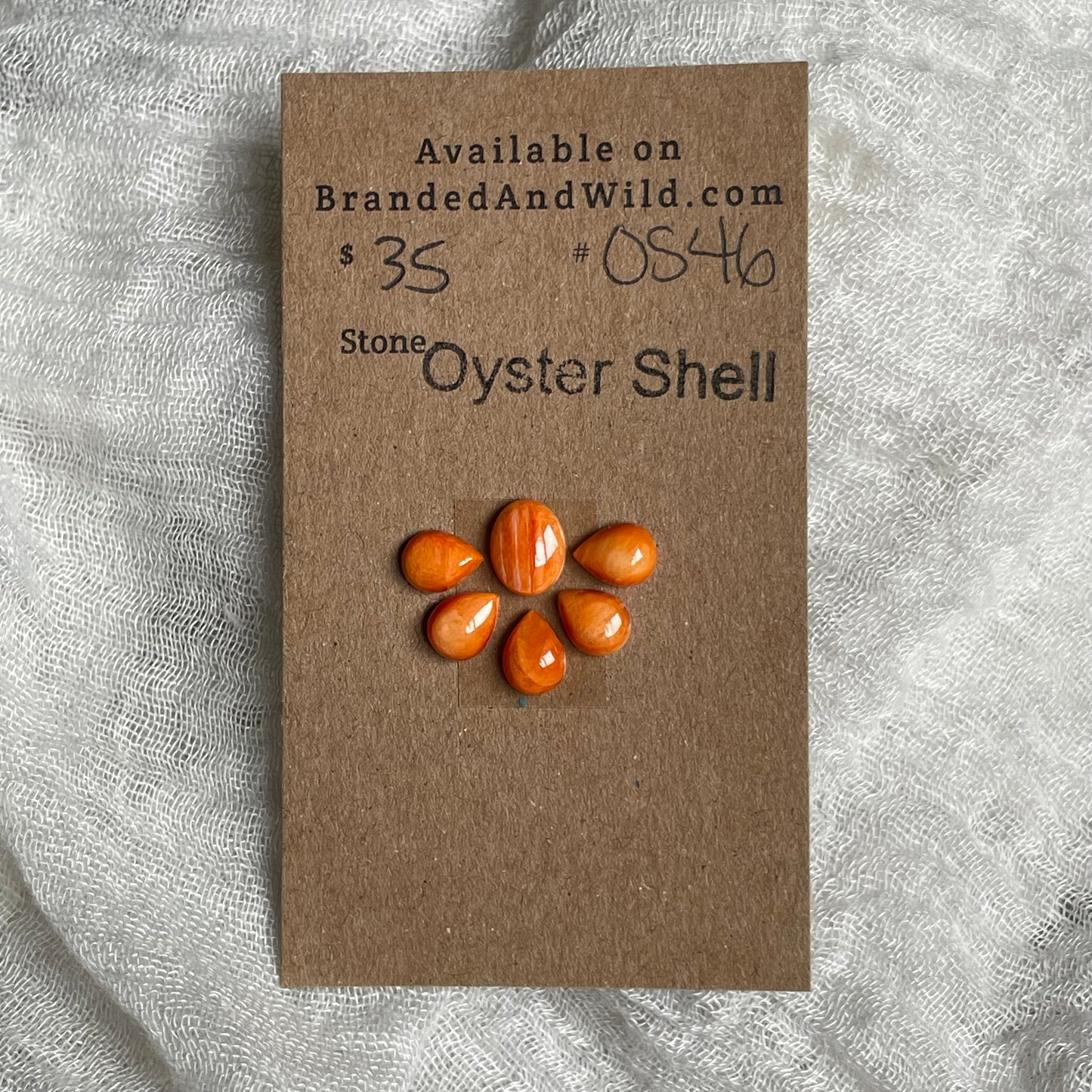 Oyster Shell Cabochon - OS46