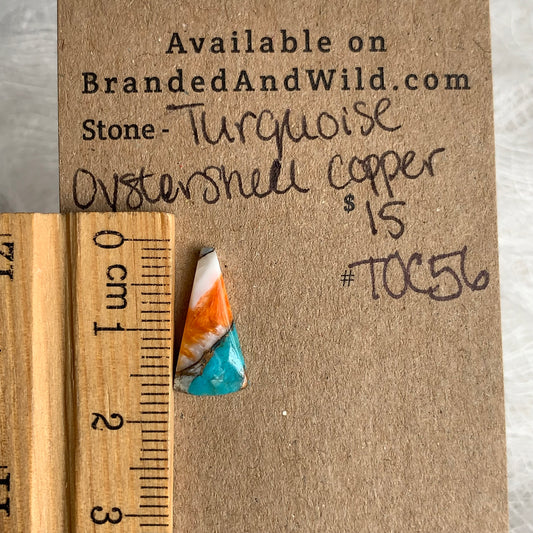 Turquoise, Oystershell, Copper Cabochon - TOC56