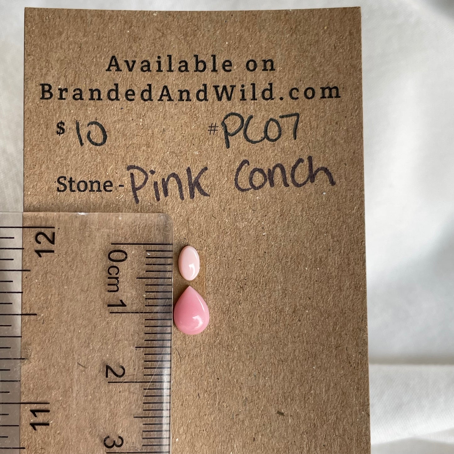 Pink Conch Cabochon - PC07